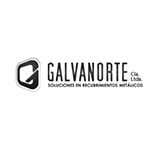 logo-galvanorte-venari